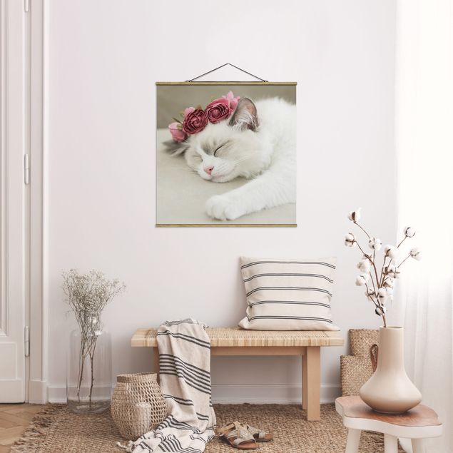 Wandbilder Katzen Schlafende Katze mit Rosen
