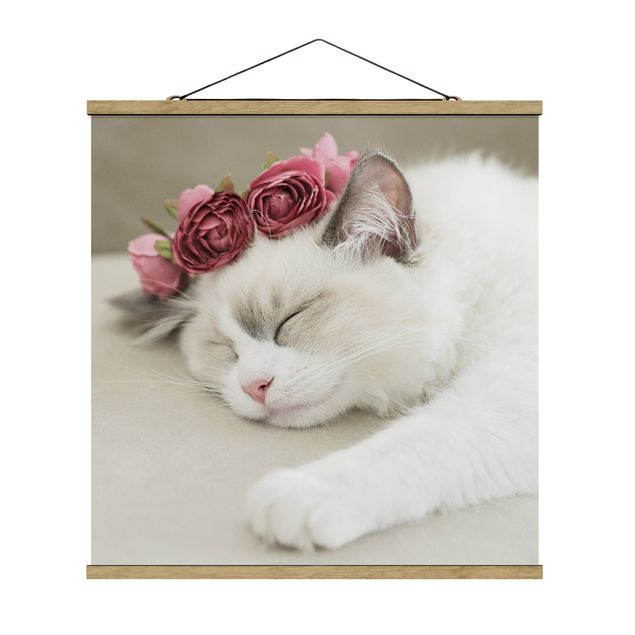Wandbilder Blumen Schlafende Katze mit Rosen