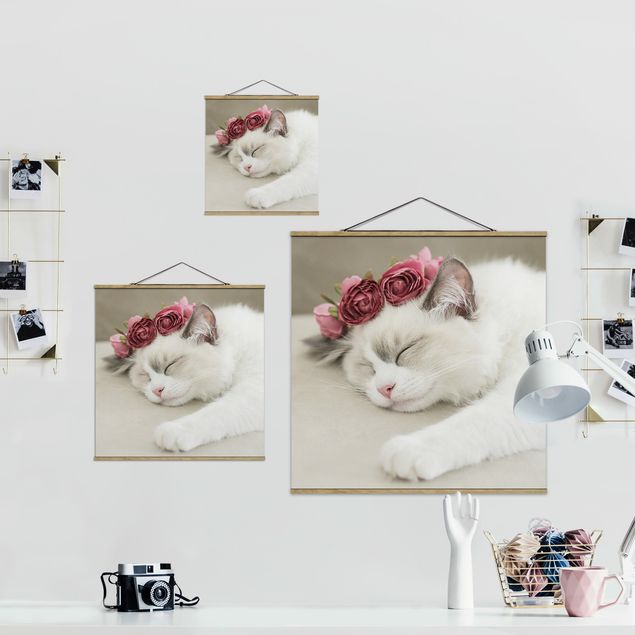 Monika Strigel Bilder Schlafende Katze mit Rosen