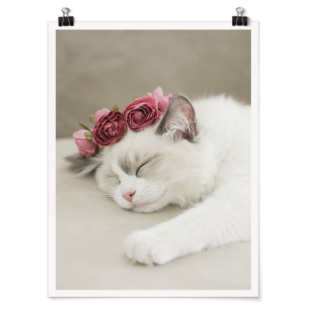 Wandbilder Floral Schlafende Katze mit Rosen