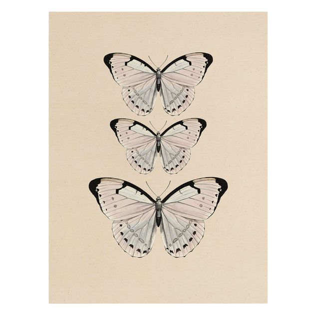 Wandbilder Modern Schmetterling auf Beige