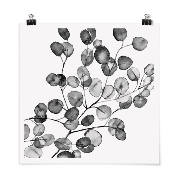 Wandbilder Floral Schwarz Weiß Aquarell Eukalyptuszweig