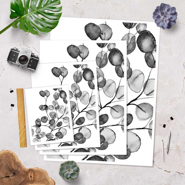 Poster Schwarz Weiß Aquarell Eukalyptuszweig