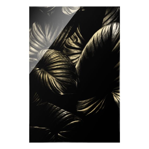 Wandbilder Schwarz-Weiß Schwarz Weiß Botanik Hosta