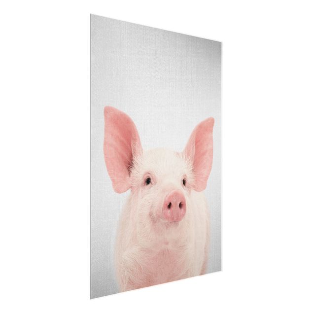 Wandbilder Modern Schwein Schorsch