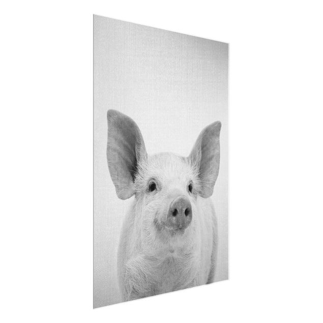 Wandbilder Modern Schwein Schorsch Schwarz Weiß