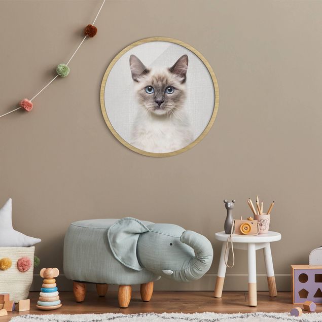 Wandbilder Katzen Siamkatze Sibylle