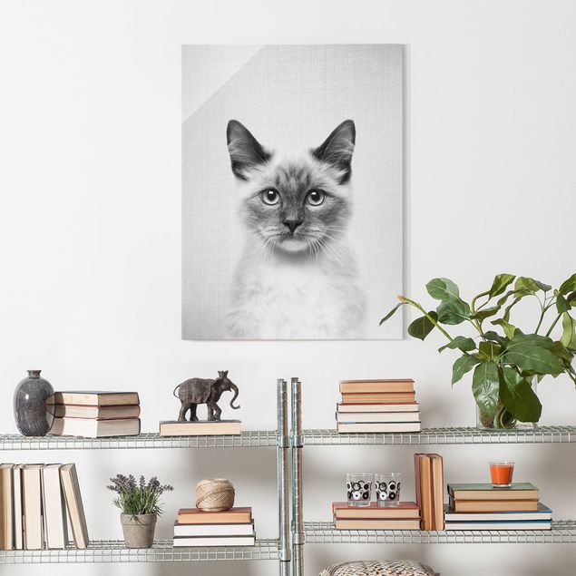 Wandbilder Katzen Siamkatze Sibylle Schwarz Weiß