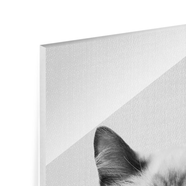 Gal Design Kunstdrucke Siamkatze Sibylle Schwarz Weiß