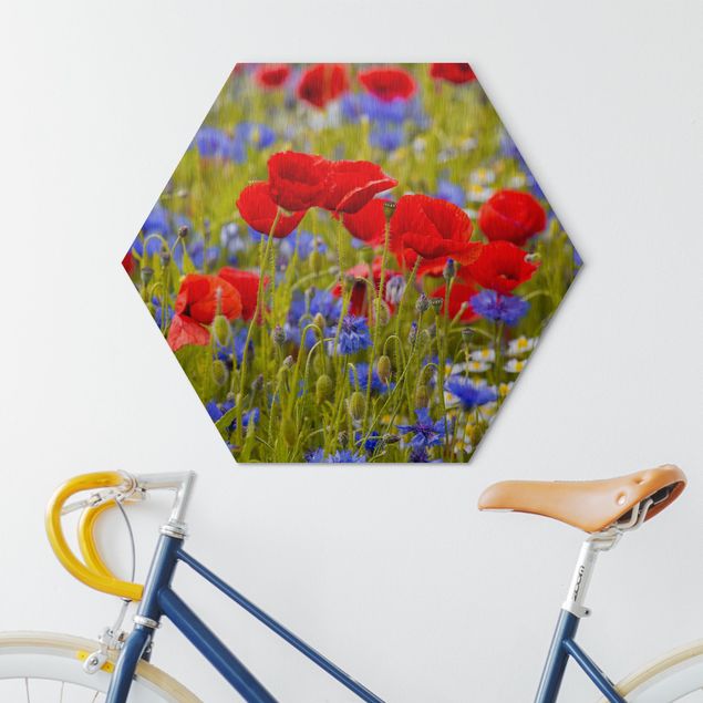 Hexagon-Alu-Dibond Bild - Sommerwiese mit Mohn und Kornblumen