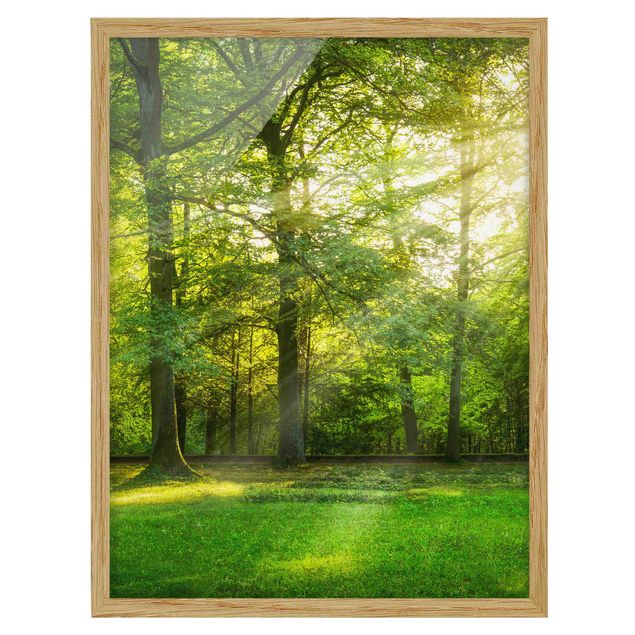 Landschaftsbilder mit Rahmen Spaziergang im Wald