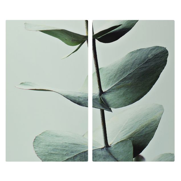 Herdabdeckung Glas Symmetrischer Eukalyptuszweig