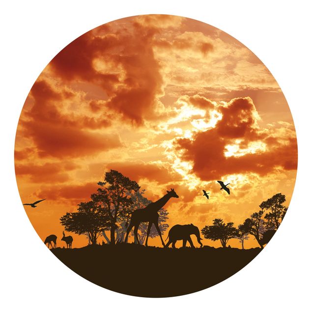 Fototapeten Giraffen Tanzania Sunset