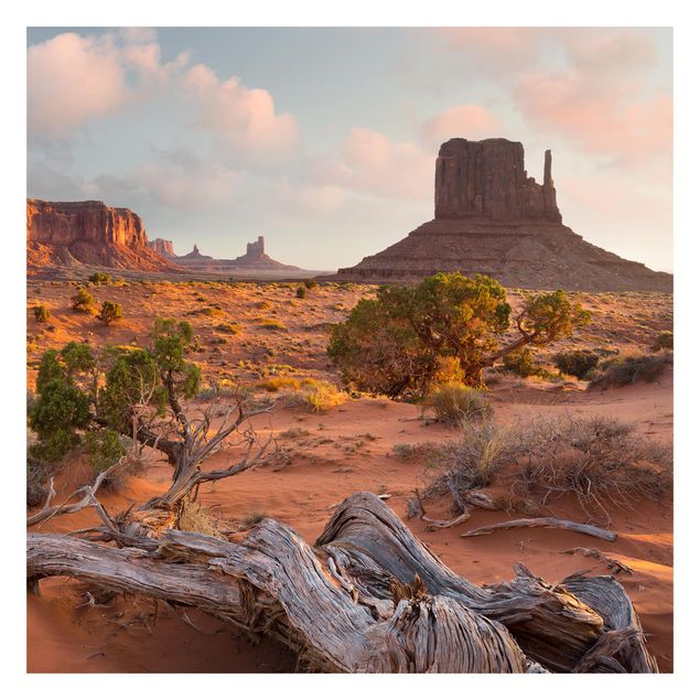 Rainer Mirau Bilder Monument Valley Navajo Tribal Park Arizona