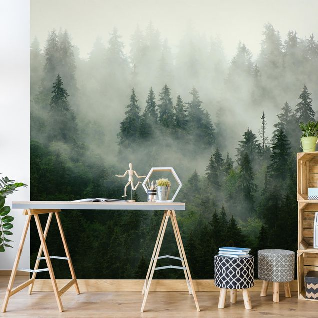 Wanddeko Küche Tiefgrüner Tannenwald im Nebel