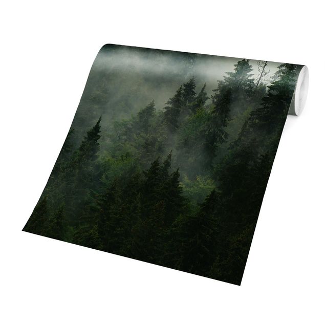 Wandtapete gruen Tiefgrüner Tannenwald im Nebel