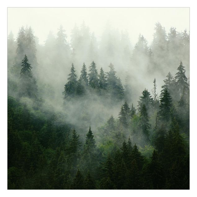 Foto Tapete Tiefgrüner Tannenwald im Nebel