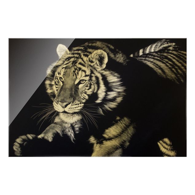 Wandbilder Modern Tiger im Sonnenlicht vor Schwarz