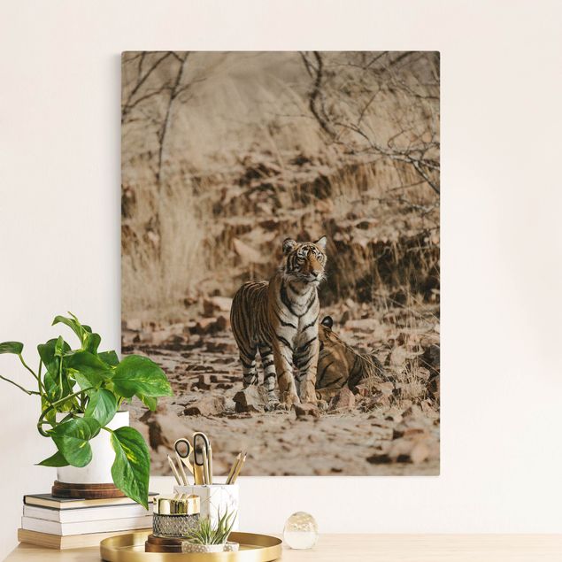 Leiwandbild Katze Tiger in der Wildnis