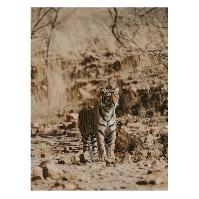 Wandbilder Modern Tiger in der Wildnis