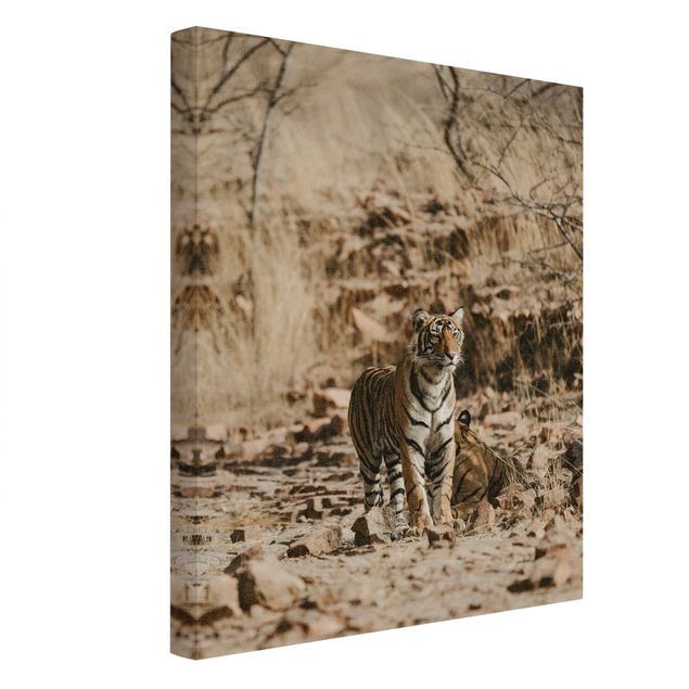 Wandbilder Tiere Tiger in der Wildnis