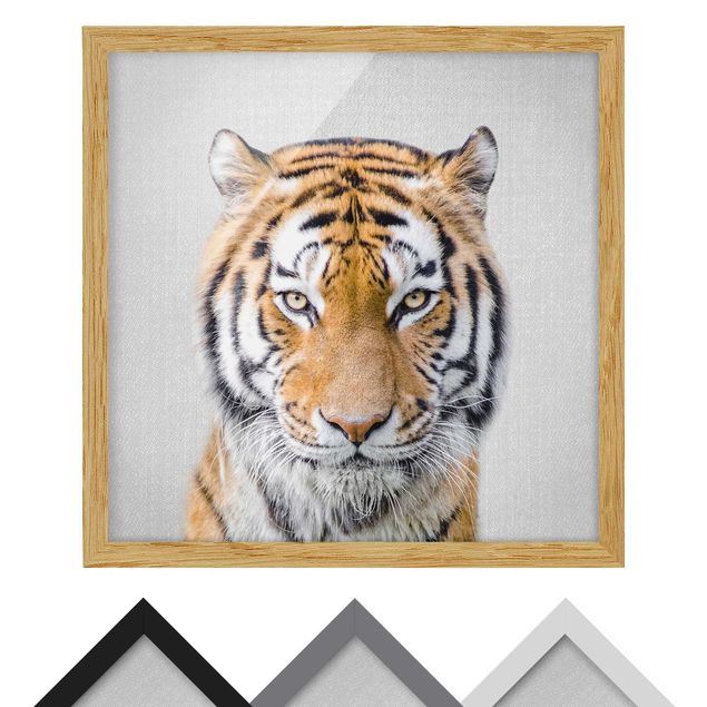 Wandbilder Schwarz-Weiß Tiger Tiago