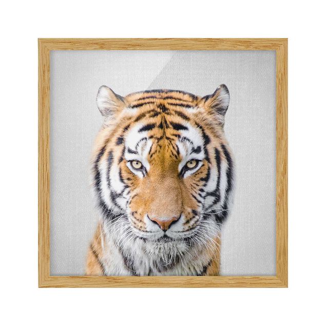 Gerahmte Bilder Tiere Tiger Tiago