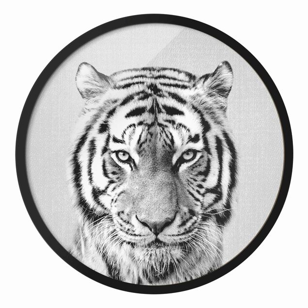Tierbilder mit Rahmen Tiger Tiago Schwarz Weiß