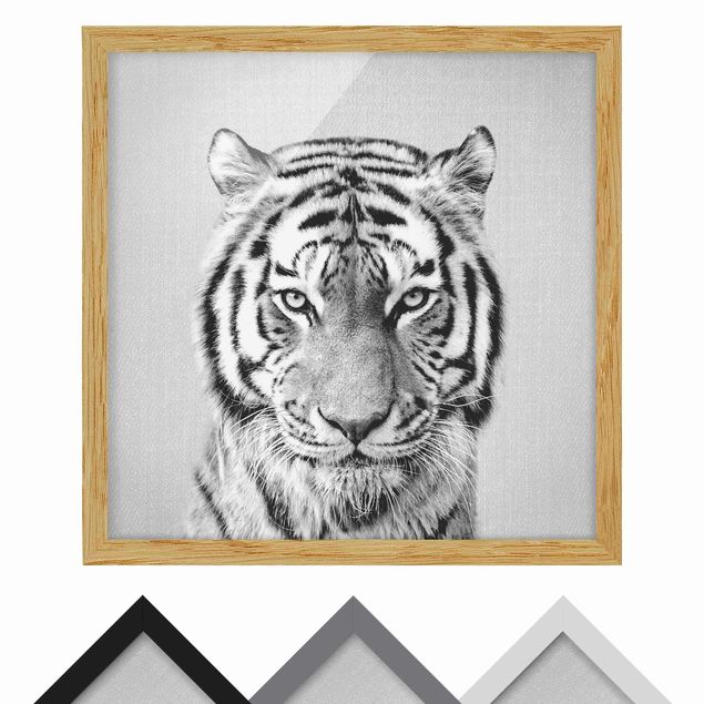 Wandbilder Schwarz-Weiß Tiger Tiago Schwarz Weiß