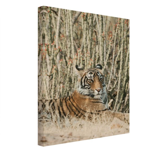 Wandbilder Tiere Tiger vor Kakteen