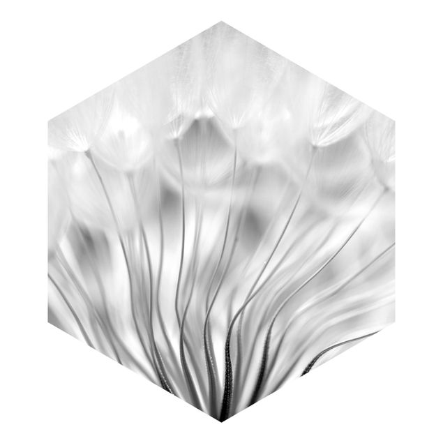 Fototapete Traumhafte Pusteblume schwarz-weiß
