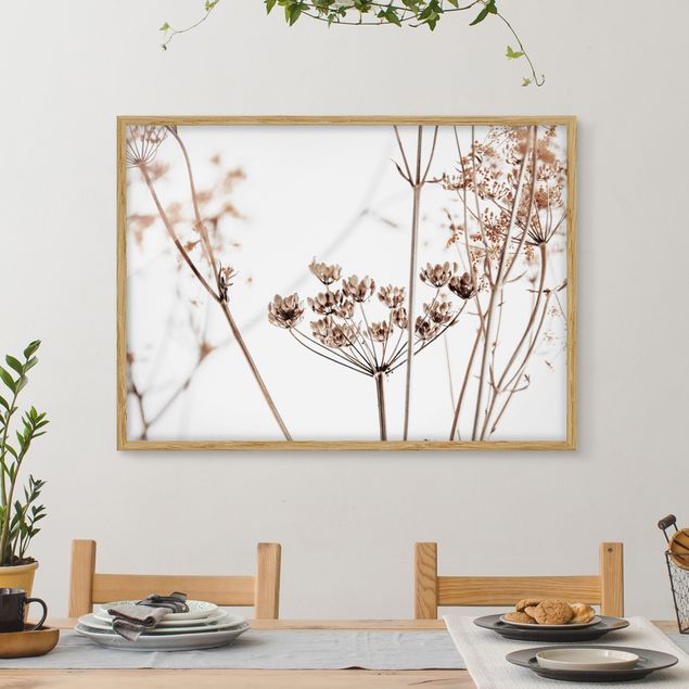 Wanddeko Küche Trockenblume im Lichtspiel