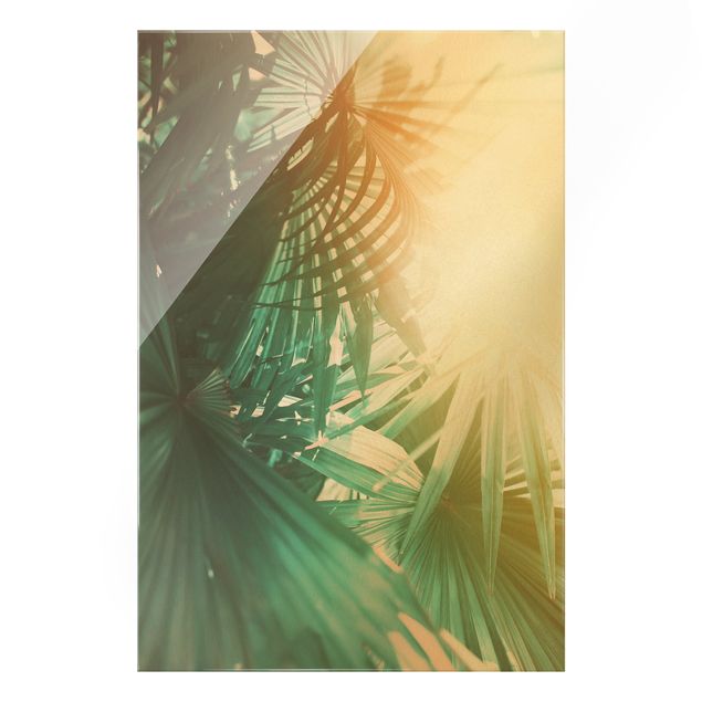 Wandbilder Floral Tropische Pflanzen Palmen bei Sonnenuntergang