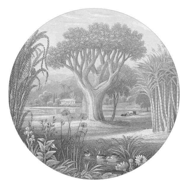 Fototapete Tropischer Kupferstich Garten mit Teich in Grau