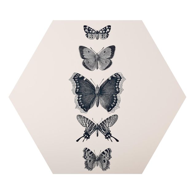 Wandbilder Grau Tusche Schmetterlinge auf Beige