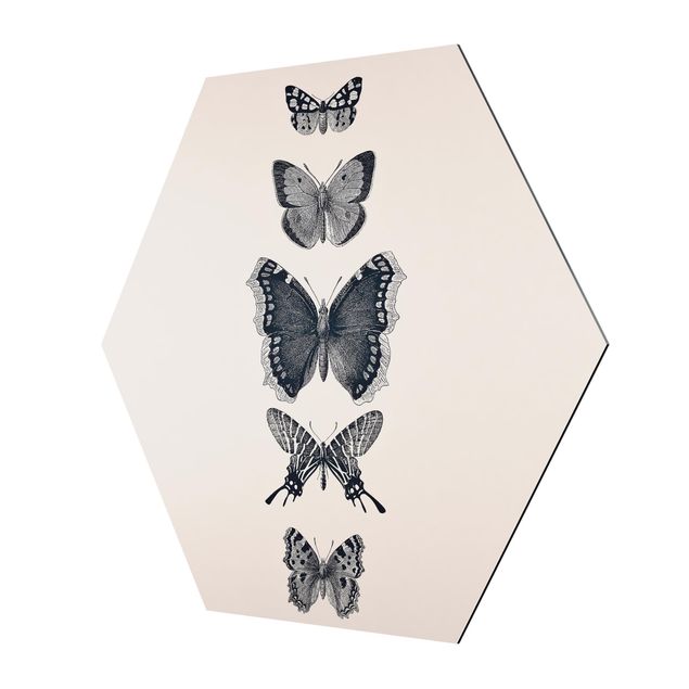 Monika Strigel Bilder Tusche Schmetterlinge auf Beige