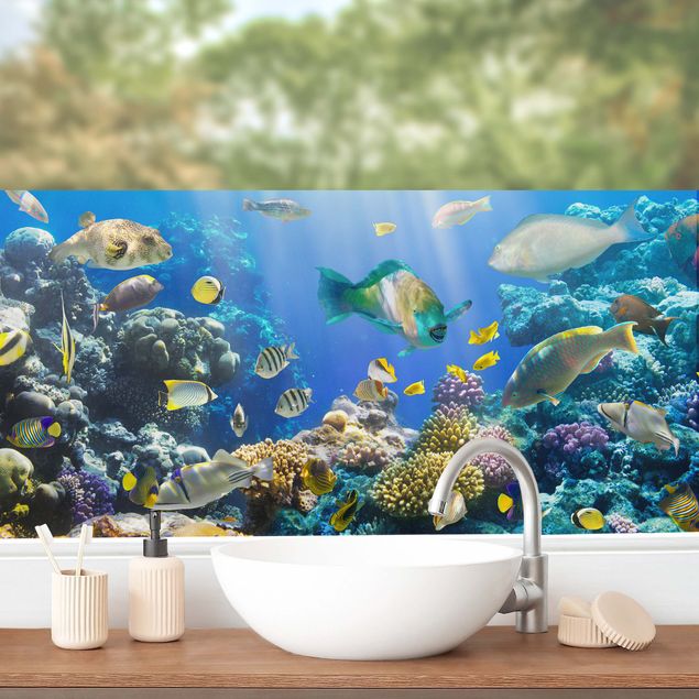 Fensterbilder Tiere Underwater Reef