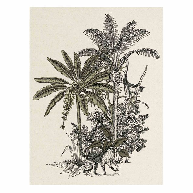 Wandbilder Floral Vintage Illustration - Affen und Palmen