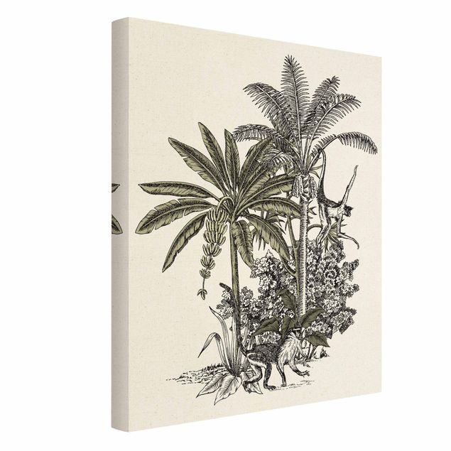 Wandbilder Blumen Vintage Illustration - Affen und Palmen