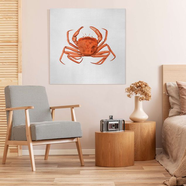 1:1 Vintage Rote Krabbe - - Quadrat Leinwandbild Illustration