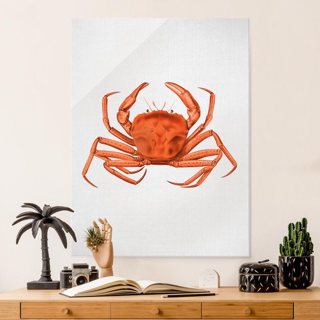 Wandbilder Fische Vintage Illustration Rote Krabbe