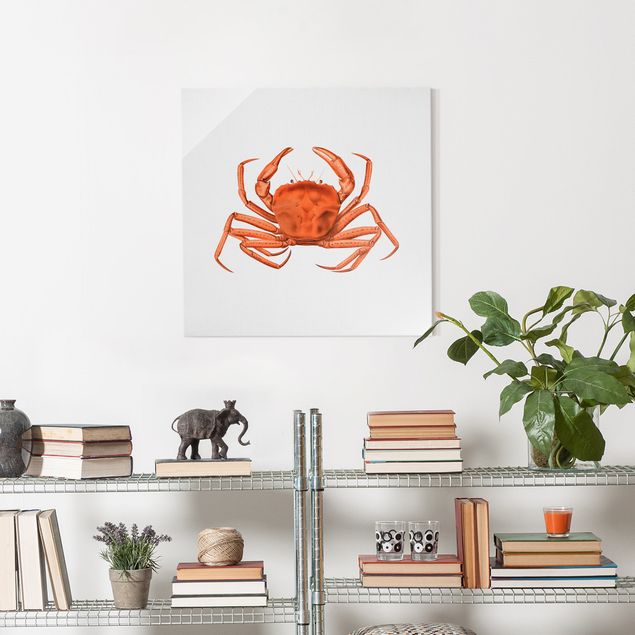 Wandbilder Strände Vintage Illustration Rote Krabbe