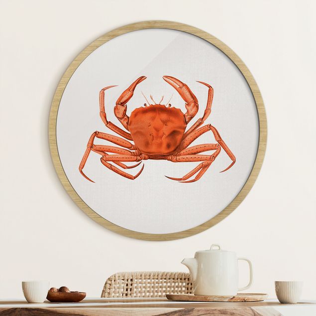 Gerahmte Bilder Strände Vintage Illustration Rote Krabbe