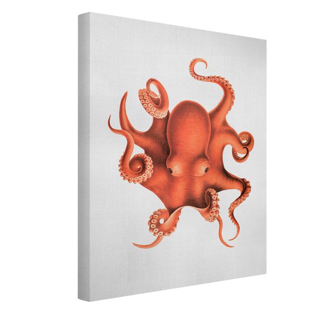 Wandbilder Strände Vintage Illustration Roter Oktopus