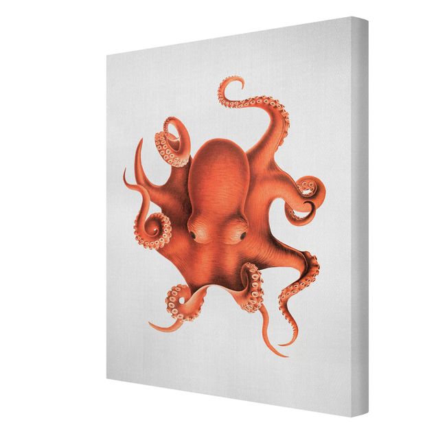 Natur Leinwand Vintage Illustration Roter Oktopus