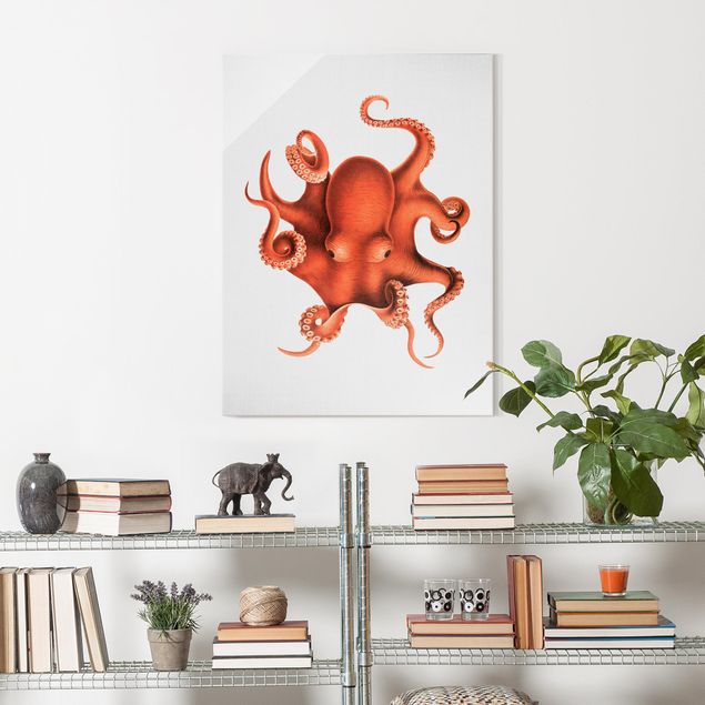 Wandbilder Landschaften Vintage Illustration Roter Oktopus