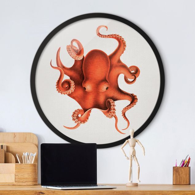 Gerahmte Bilder Strände Vintage Illustration Roter Oktopus