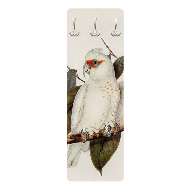 Wandgarderoben Weiß Vintage Illustration Weißer Kakadu