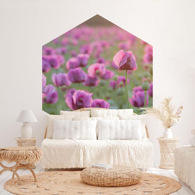 Fototapete modern Violette Schlafmohn Blumenwiese im Frühling