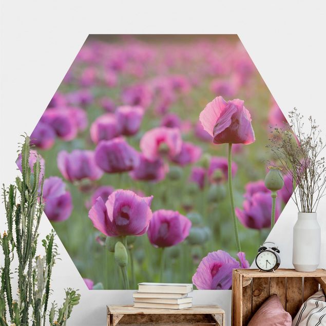 Hexagon Mustertapete selbstklebend - Violette Schlafmohn Blumenwiese im Frühling